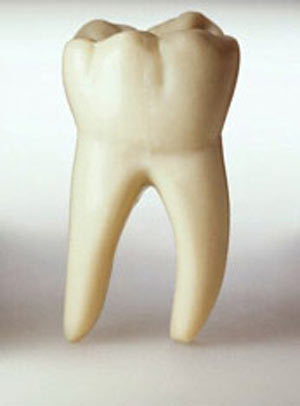 دندانهایی که در اثر ضربه بیرون میافتند