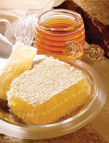 عسل ، مرهمی برای بهبود زخم ها
