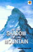 In the shadow of the mountain: level 5