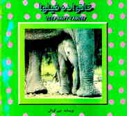 خانواده فیل = Elephant family