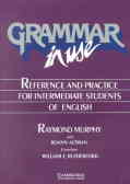 Grammar in use: reference and practice for intermediates students of english