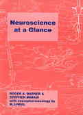 Neuroscience at a glance