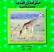 خانواده زرافه = Giraffe family