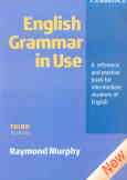 English grammar in use: a reference and practice book for intermediate students of English