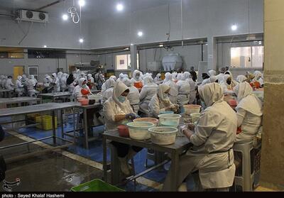 سرمایه‌گذاری یک‌هزار میلیارد تومانی در طرح‌های صنعتی و تولیدی استان بوشهر - تسنیم