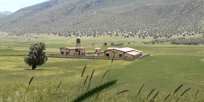 خبرگزاری فارس - کشتارگاه مرغ پاطلایی «کارزان» در اسرع وقت تکمیل می‌شود