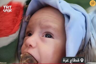 (ویدئو) مادر فلسطینی به جای شیر به نوزادش خرما می‌دهد