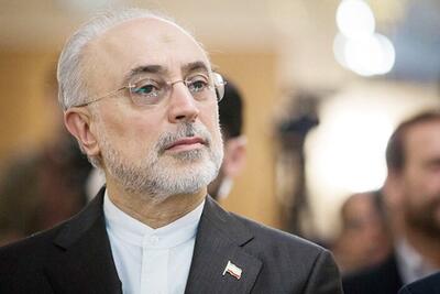 صالحی: ایران توانایی ساخت بمب اتم را دارد