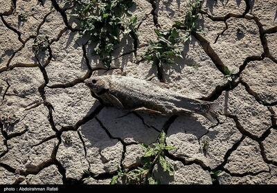 بحران و تنش کمبود آب یکی از مسائل اصلی استان سمنان است - تسنیم