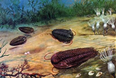 راز عجیب حیات در زمین پس از میلیون ها سال فاش شد!