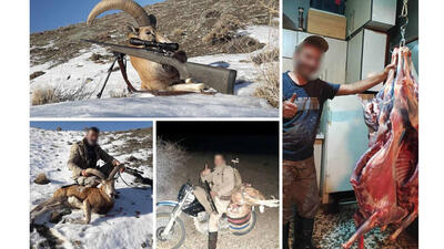 بازداشت 14 شکارچی بی رحم و مسلح در مازندران + عکس های دلخراش