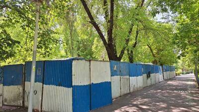 ساخت‌وساز در پارک لاله متوقف شد - عصر خبر