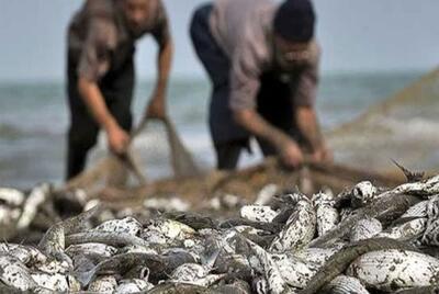 جلوگیری از صید غیرمجاز ماهی