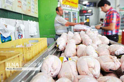 افزایش اندک قیمت مرغ/ ​نرخ روز انواع گوشت مرغ درب کشتارگاه