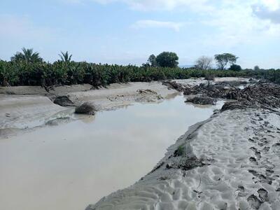 خسارت ۲۰۰ میلیارد ریالی سیلاب به کشاورزی تربت‌حیدریه