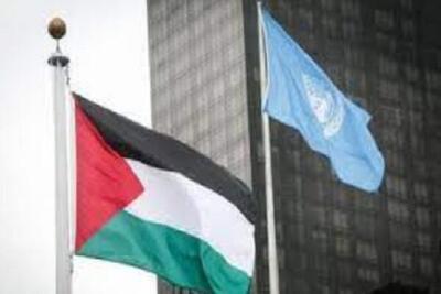 واکنش اعضای سازمان ملل به پیش‌نویس قطعنامه تشکیل کشورمستقل فلسطین