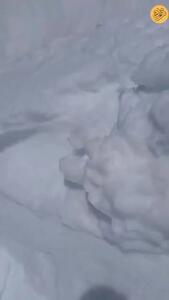 (ویدئو) بارش عجیب برف چند متری در اطراف ارومیه - 22 اردیبهشت!