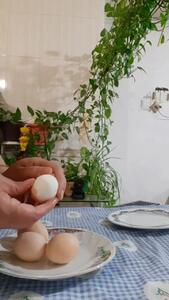 معجزه ی جوانی با تخم مرغ آبپز
