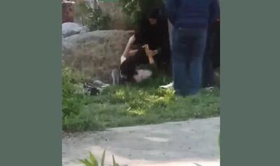 لحظه کتک خوردن یک دختر در پارک فدک | رویداد24