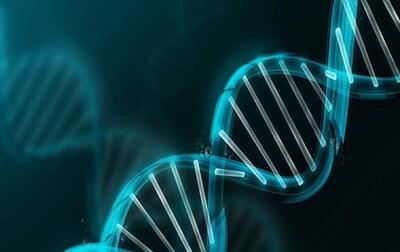 ساخت اوریگامی DNA ساده‌تر می‌شود