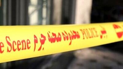 جزئیات تازه در پرونده قتل شهردار منطقه 5 شیراز