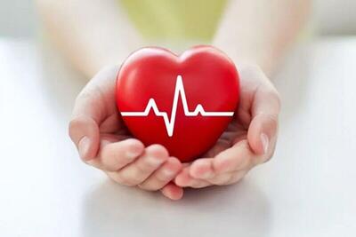 سهم ۳۵ درصدی بیماری‌های قلبی و عروقی از کل مرگ و میرها در کشور