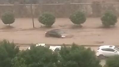 ببینید / سیلاب مشهد چند خودرو را با خود برد