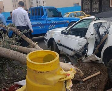 ۵۷ درصد جانباختگان حوادث رانندگی مرکزی  مربوط به شهر اراک است