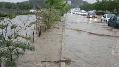 وقوع سیلاب در خیابان‌های مشهد/ ۷ نفر جان باختند