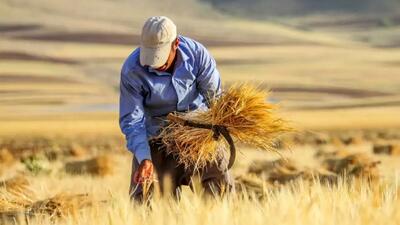 کشاورزی در رفع بیکاری رکورد زد / سهم اشتغال کشاورزی در ۲۱ استان بالاتر از میانگین