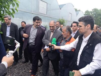 وزیر جهاد کشاورزی خبر داد: اختصاص تسهیلات بانکی برای احداث گلخانه‌