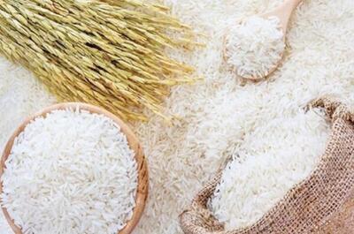 انتقاد از اختصاص ارز ترجیحی برای واردات برنج