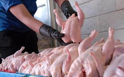 قیمت مرغ در ماه خرداد ارزان می شود؟ | پیش بینی مهم درباره قیمت گوشت مرغ