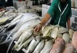 قیمت انواع ماهی ۲۹ اردیبهشت ۱۴۰۳+ جدول