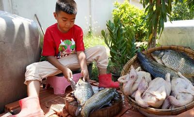 فرآیند طبخ یک غذای روستایی با ماهی و مرغ توسط مادر و پسر سنگاپوری (فیلم)