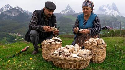 فرآیند برداشت و پختن غذای محلی با قارچ در کوهستان‌های آذربایجان (فیلم)