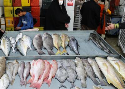 قیمت انواع ماهی در میادین میوه و تره‌بار
