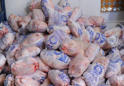 توقیف مرغ‌های فاقد مجوز در رضوانشهر