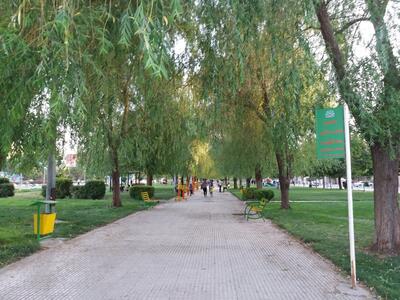 فعالیت ۲۳۷ بوستان و فضای سبز در کرمانشاه