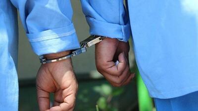 ۳۲ سارق و فروشنده مواد مخدر در بهارستان دستگیر شدند