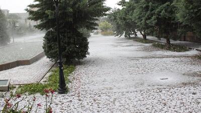 سمنان کم‌بارش‌ترین استان کشور / باغداران سمنان از بارندگی خسارت دیدند