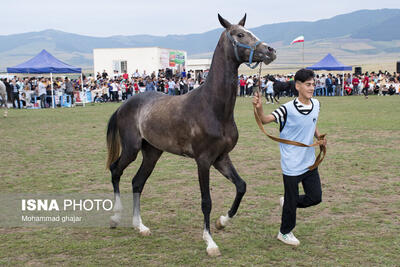 برگزاری دومین رویداد پرش با اسب به میزبانی گلستان