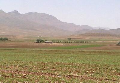 افزایش ۱۵ درصدی تولید محصولات کشاورزی در کردستان|۱۰۰ درصد کشت گندم استان مکانیزه است