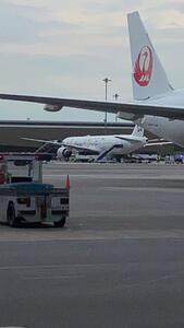 فرود اضطراری یک هواپیما در فرودگاه بانکوک با یک کشته | خبرگزاری بین المللی شفقنا