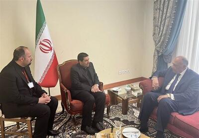 دیدار وزیر خارجه مصر با سرپرست ریاست جمهوری / سماح شکری: مصر خواستار تقویت روابط با ایران است / دوست داشتیم در شرایطی بهتر به ایران سفر کنیم