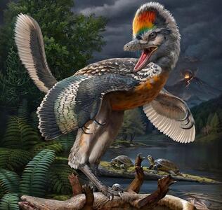 (عکس) در فسیل پوست دایناسور پردار چه رازی نهفته است؟
