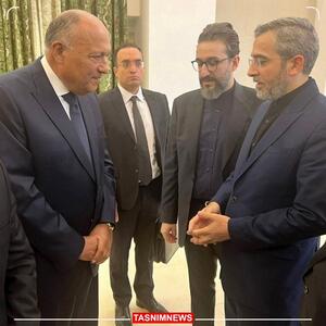 رایزنی وزیر خارجه مصر با علی باقری