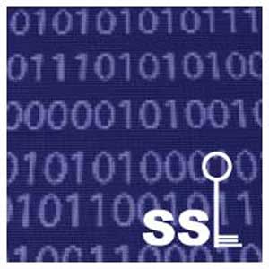 SSL چیست و آیا سایت شرکت ما باید به SSL مجهز باشد یا خیر ؟