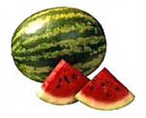 استفاده از “میوه هندوانه تلخ” موجب کاهش قند خون می‌شود.