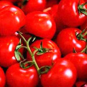 گوجه فرنگی و کلم بروکلی دشمن سرطان پروستات